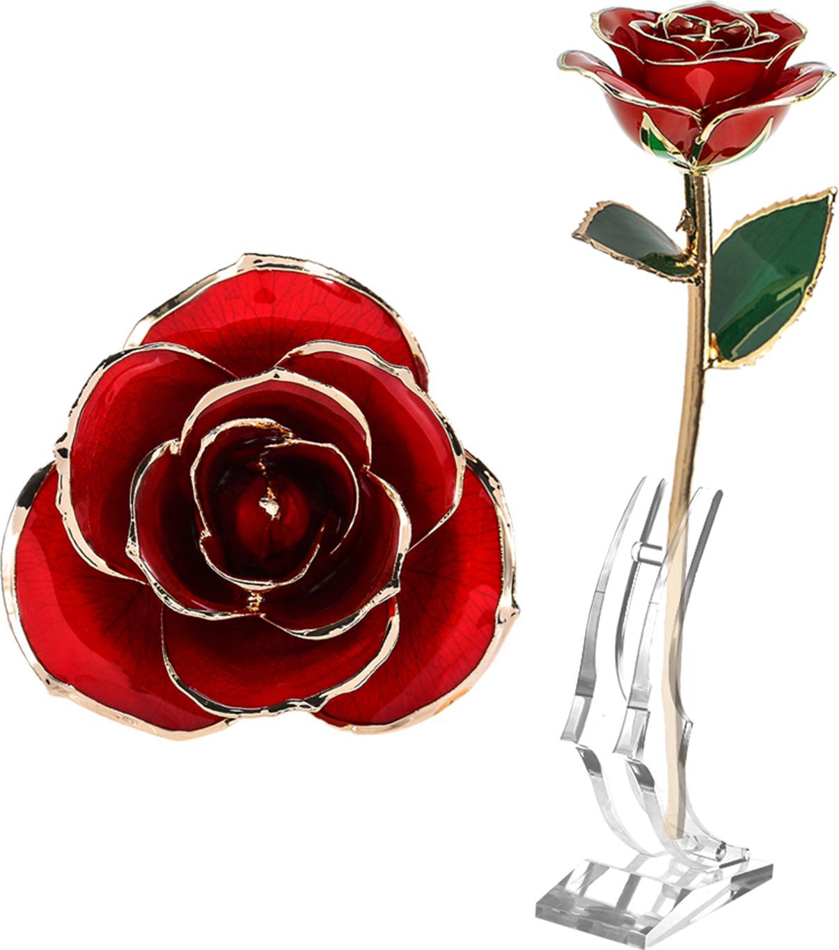 Ruža s dlhou stopkou, máčaná v 24-karátovom zlate, v darčekovej škatuľke s priehľadným prezentačným stojanom. Červené ruže pre vás