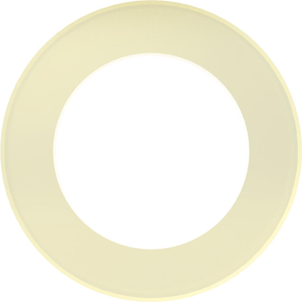 Riegler Anschlussdichtung aus PA, für Flaschendruckregler 300 bar 444.4.942