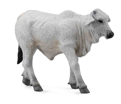 Collecta Ciel brahman 88581