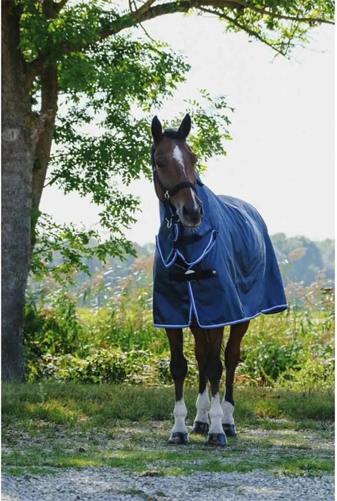 Riding World Combo Regendecke Für Pferde Blau 198 cm Blau 198 cm 400706066