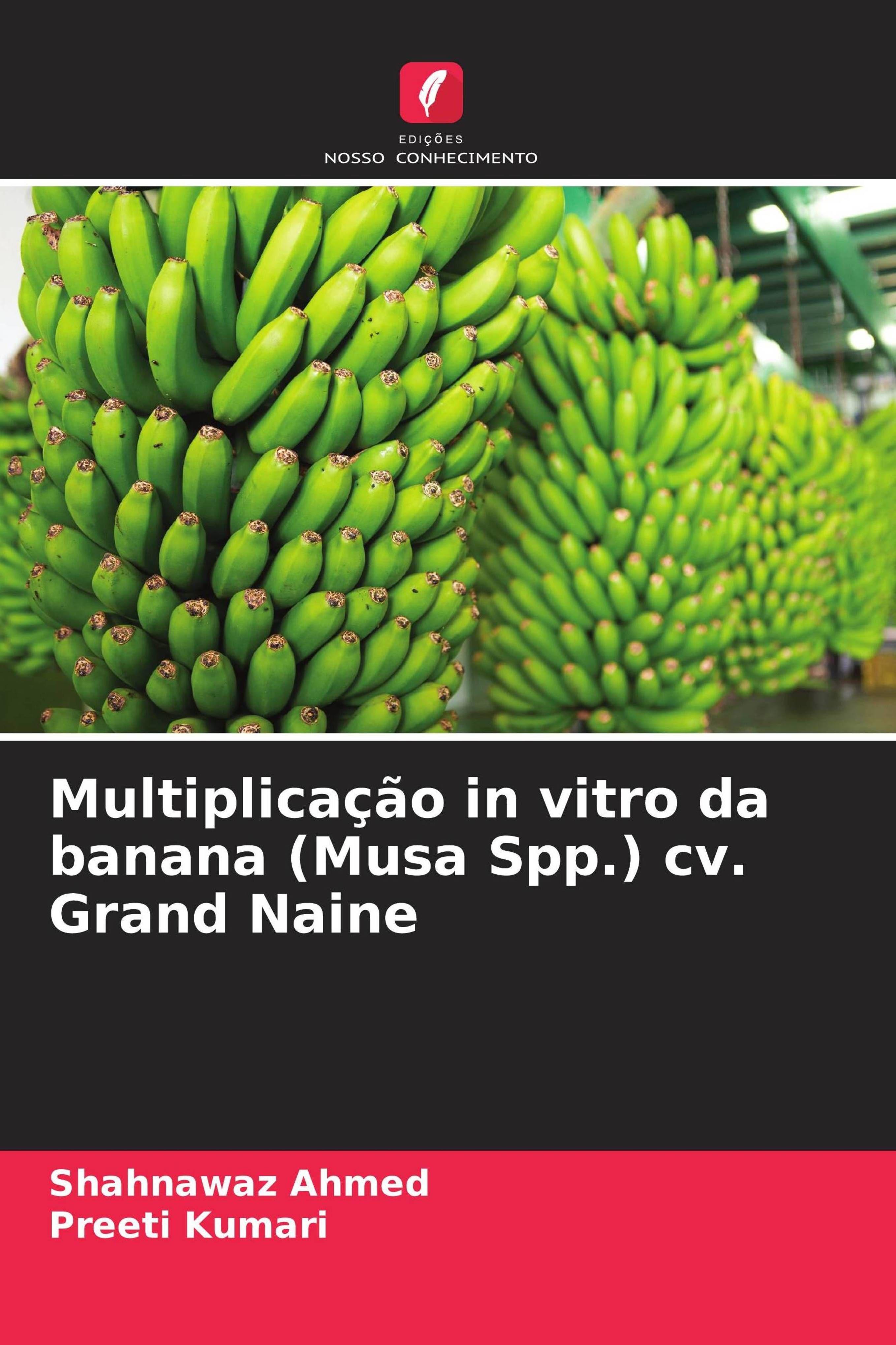 Edicoes Nosso Conhecimento In-vitro-Vermehrung der Banane (Musa Spp.) cv. Grand Naine