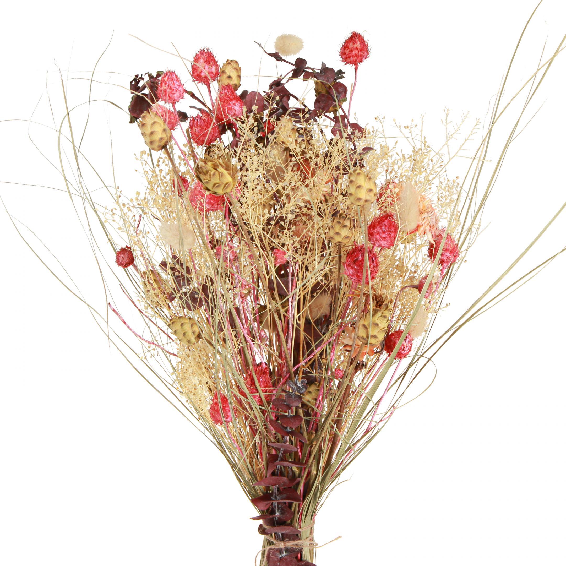 Viana Boho-Trockenblumenstrauß mit Flockenblume und Erdbeerdistel 36828