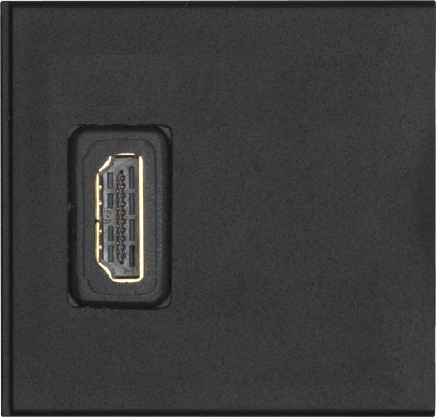 Evoline Wechselmodul 1 x HDMI Buchse vorne und hinten Kunststoff schwarz 159903302400