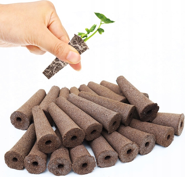 Itimport Sämling Starter Kit Inspektion Sämlinge 50 Kartuschen Substrat Hydroponik