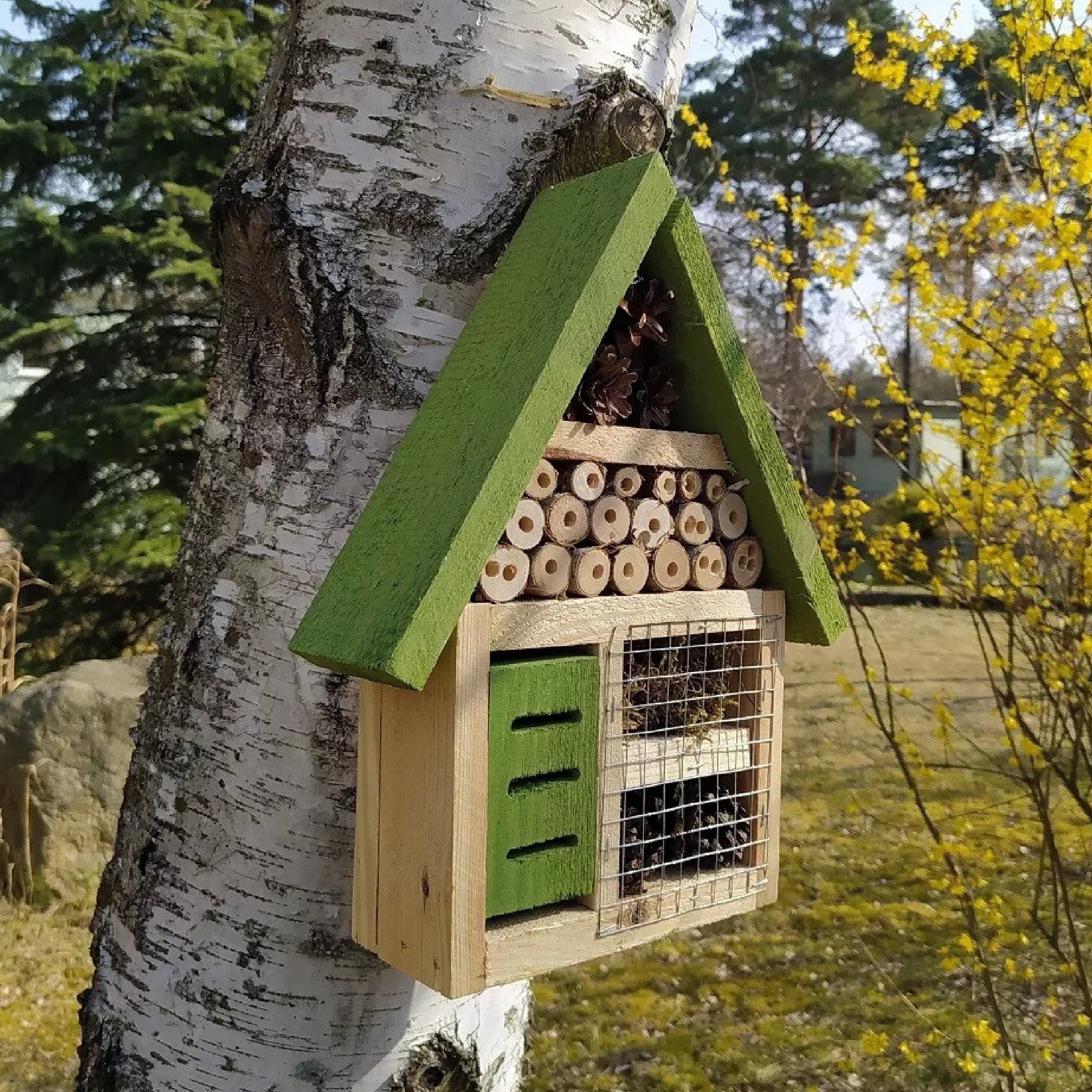 MIKONI Insektenhaus XL | Grün | 37 x 21 x 8 cm | Insektenhotel Bienenhaus Winterquartier Biene Nistkasten Brutkasten Schutz für Bienen Marienkäfer