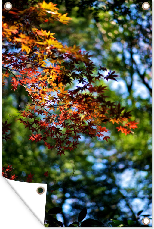 MuchoWow® 133|180018780