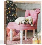 BOXILAND® Psí adventný kalendár 2025 [S 24 PSÍMI MAŠKRTAMI] – Vianočný kalendár pre psov – Darček pre psov (Vyrobené v DE)