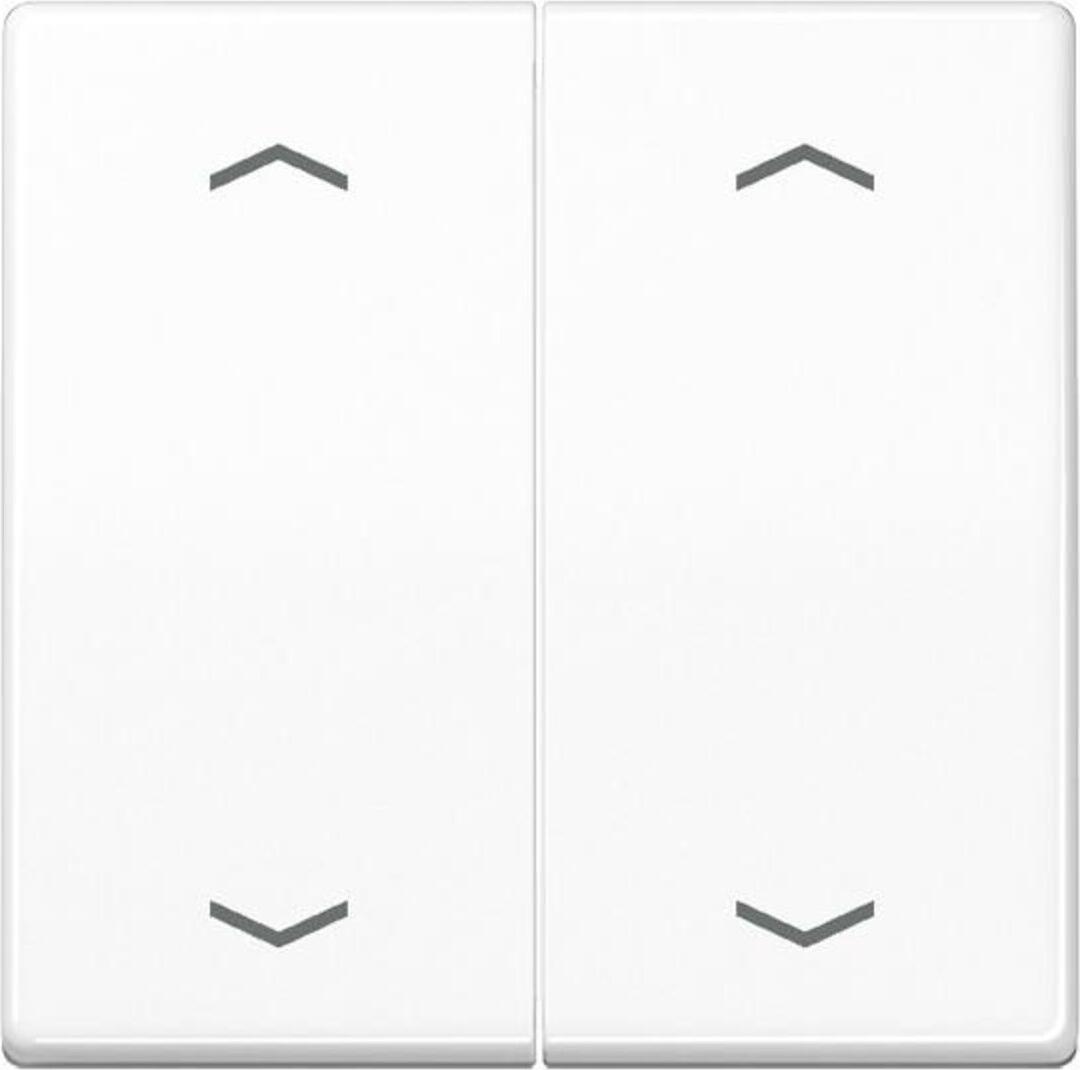 Jung Wippe Symbole aws AS 591-5 MP WW AS591-5MPWW