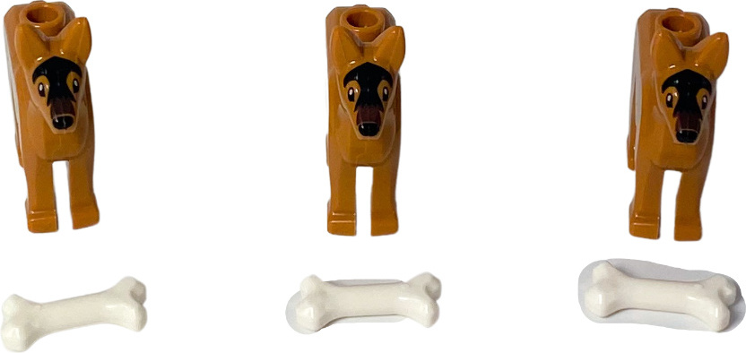 dog with bone