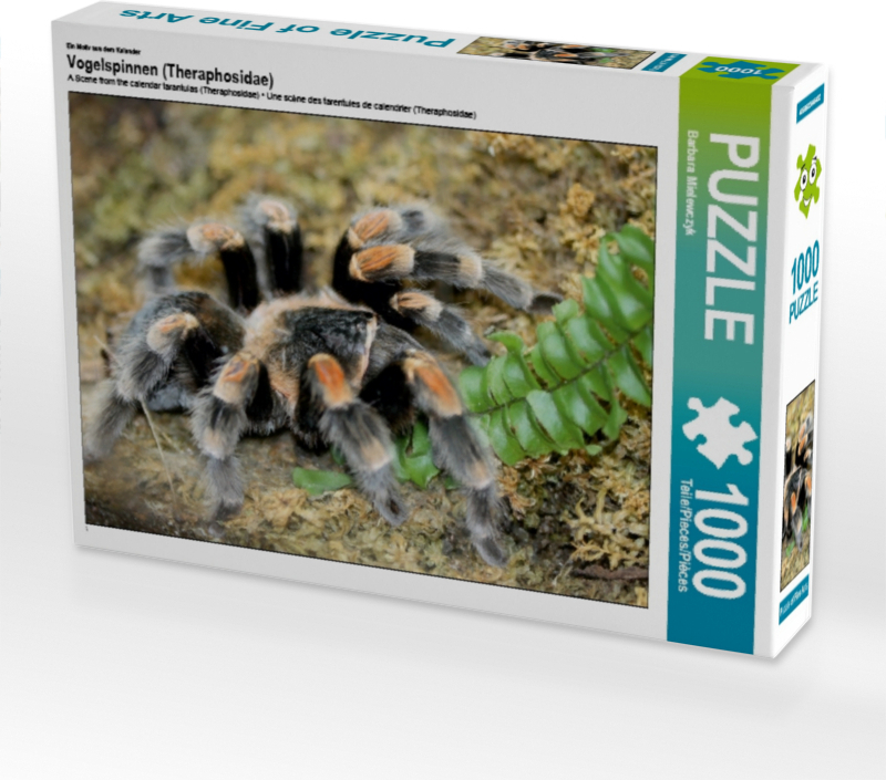 Calvendo Ein Motiv aus dem Kalender Vogelspinnen (Theraphosidae) 1000 Teile Puzzle quer 640x480mm, Mielewczyk Barbara; 7322160