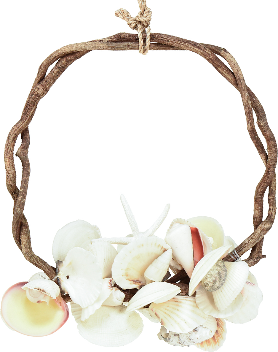 Viana Maritimer Dekoring Ø 25 cm - Meeresschnecken & Muscheln - Küstendeko für Zuhause 54429-017-WEIß