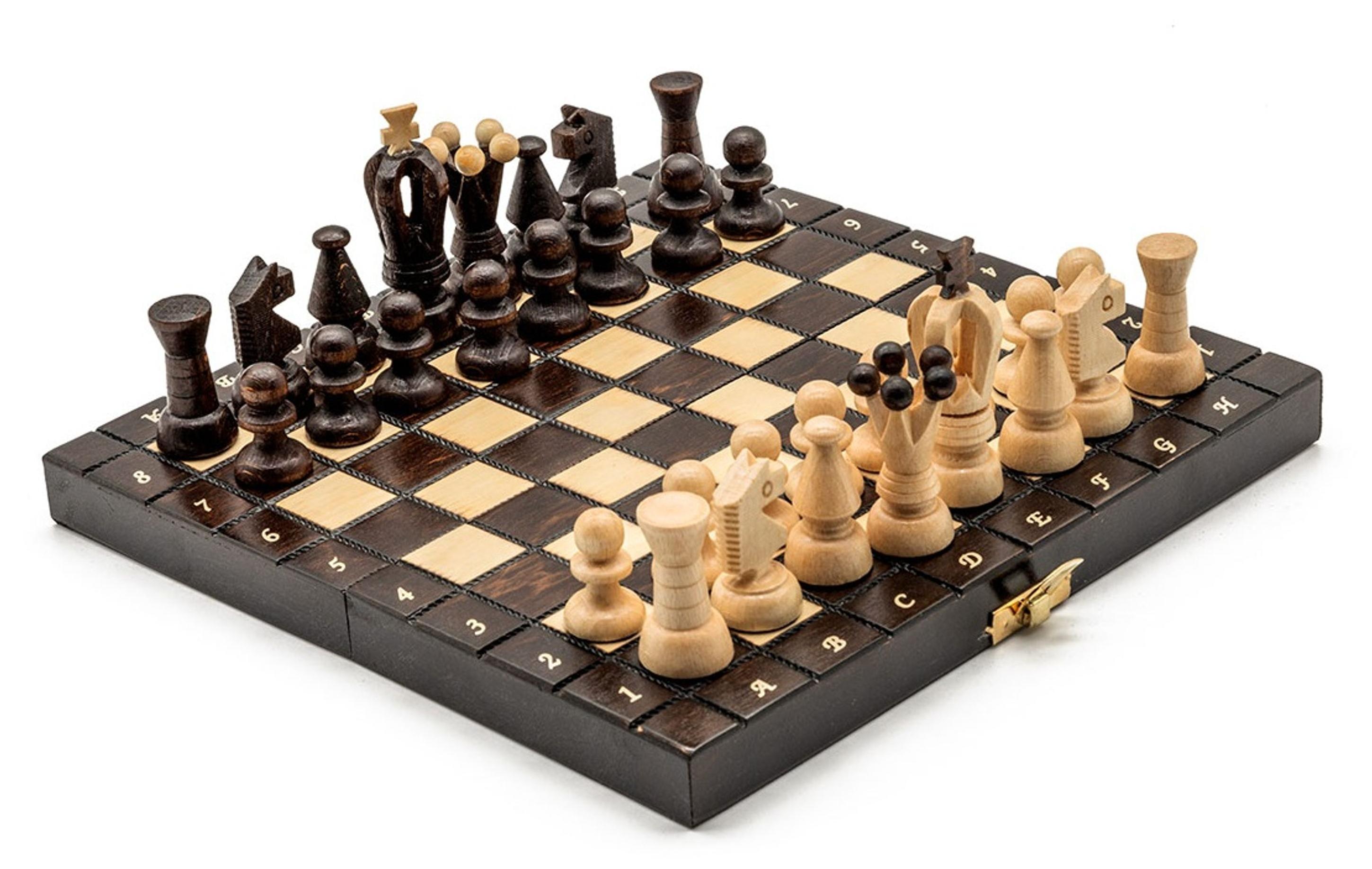 Markenlos Mini-Schachspiel aus Holz, braun, 25 × 25 cm – klappbare Schachkassette mit Figuren