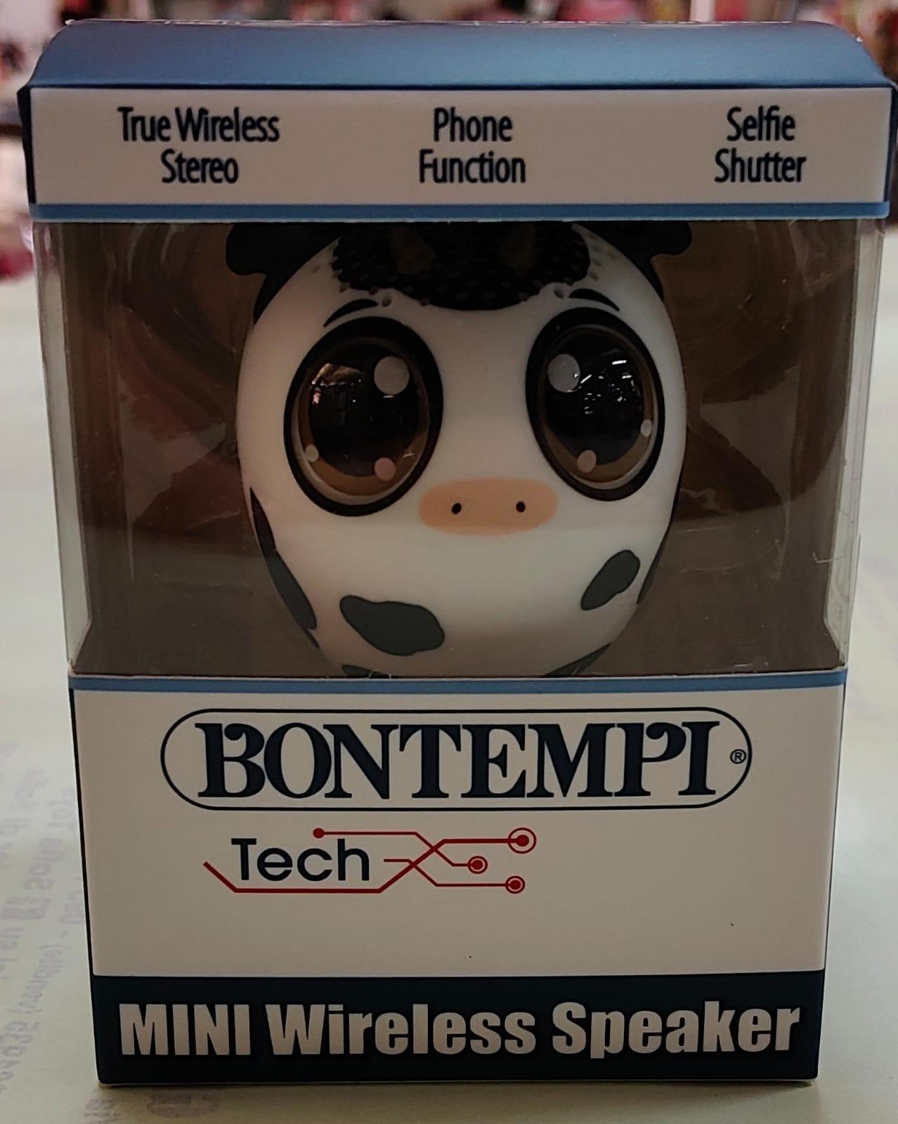 Bontempi 4901002, Bezdrôtový, USB Typ-C, Párty reproduktor, Viacfarebný, Univerzálne, Zabudovaná batéria