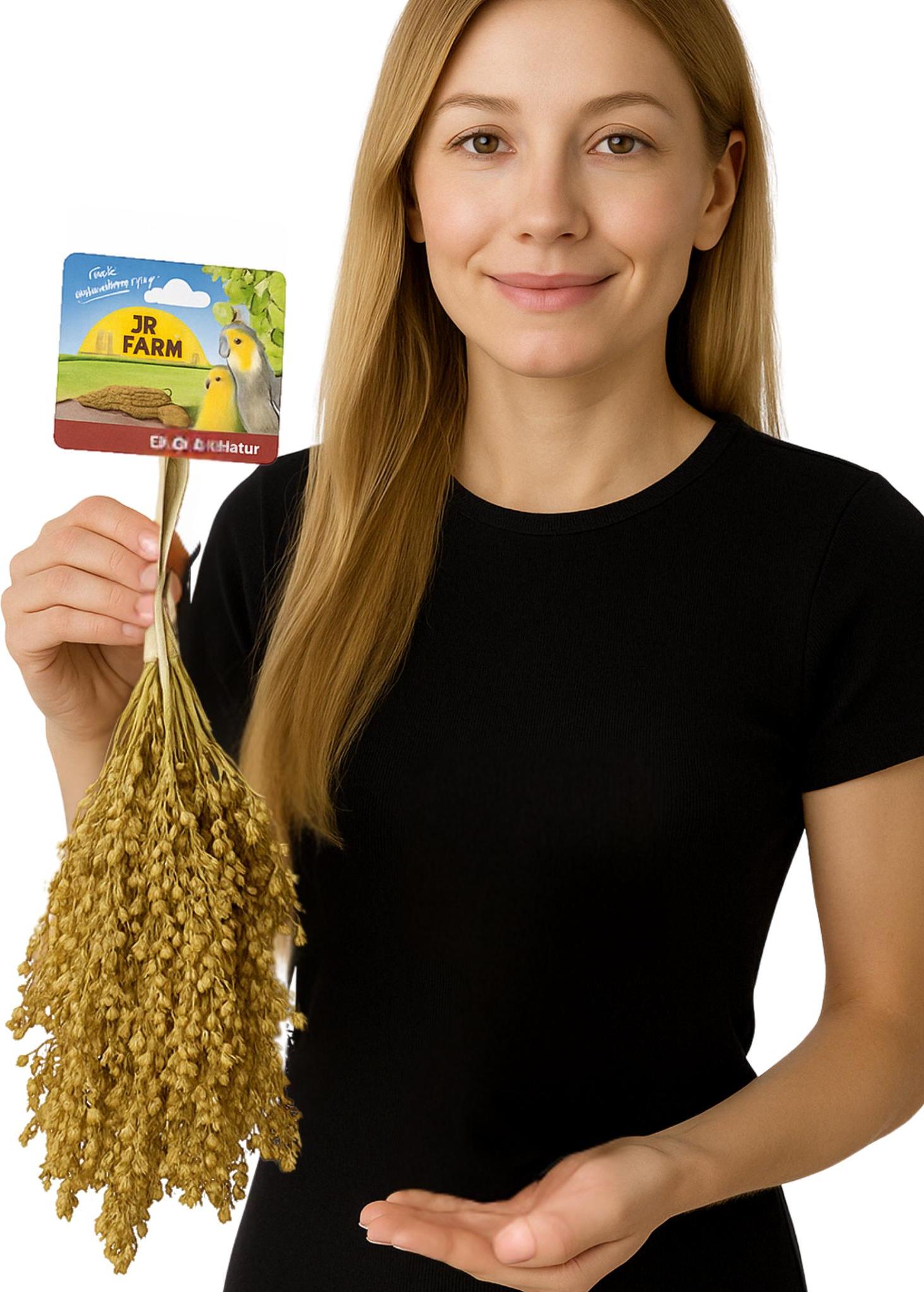 JR FARM Hirse in Kolben zum Knabbern für alle Papageien 400g