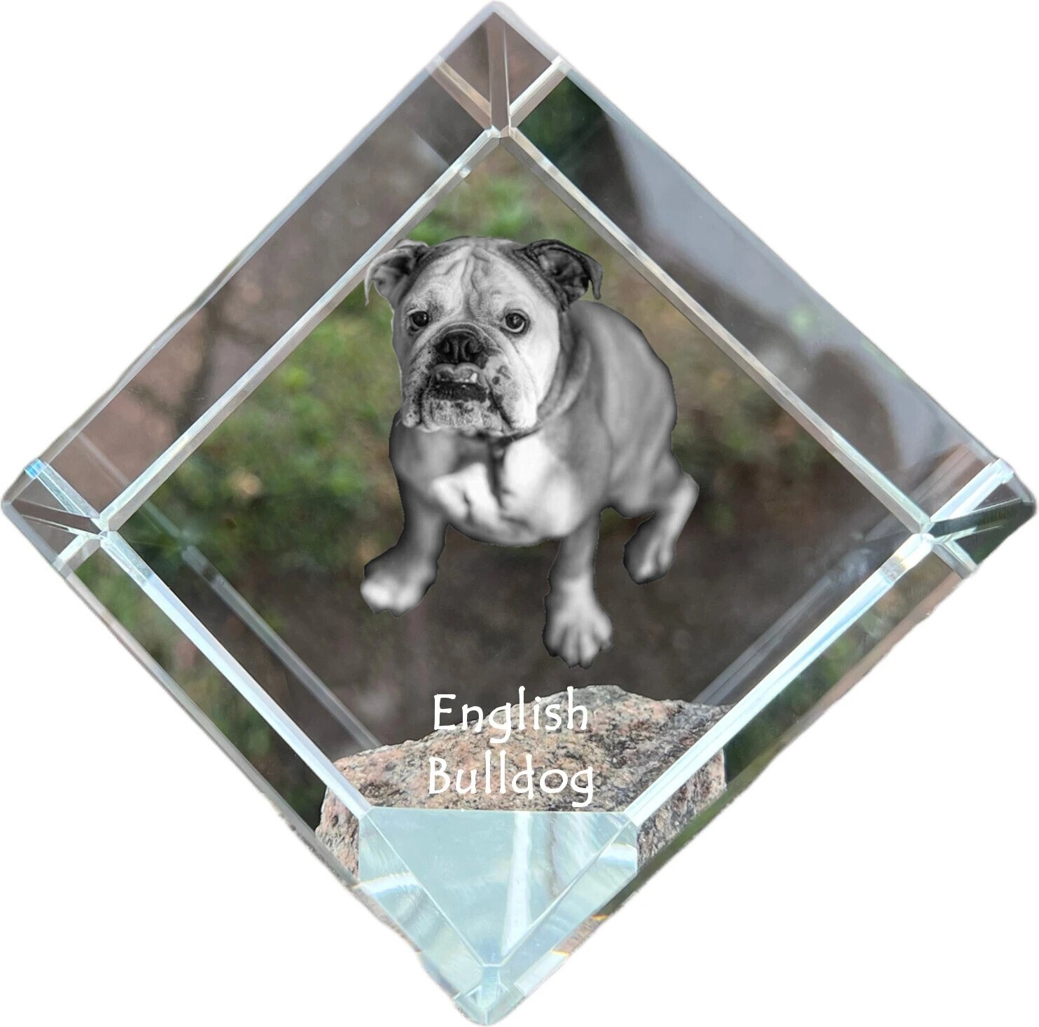 Bulldog, Englische Bulldogge - Kristallwürfel mit Bild, Pferdebild im Kristall, sechseckiger Papierclip der Marke Art-Dog