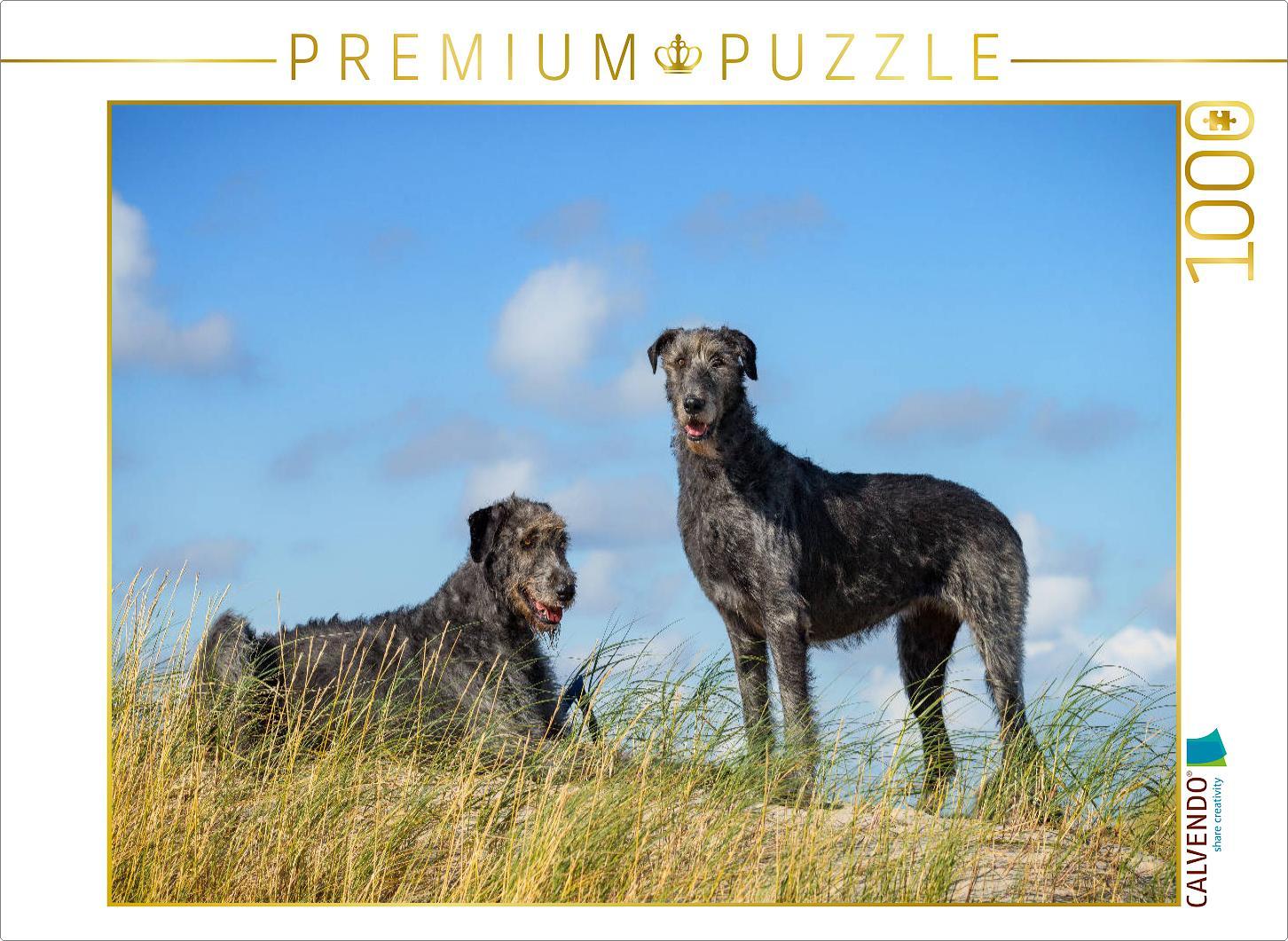 CALVENDO Puzzle Irische Wolfshunde stehen auf einer Düne | 1000 Teile Lege-Größe 64x48cm Foto-Puzzle für glückliche Stunden