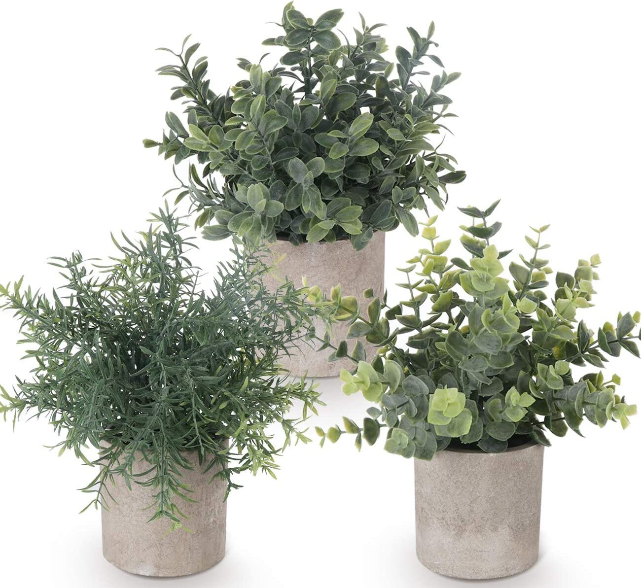 CEWOR 4er Set Künstliche Pflanzen | Eukalyptus, Rosmarin & Sukkulenten In Töpfen | Für Regal, Wohnzimmer, Schlafzimmer Deko