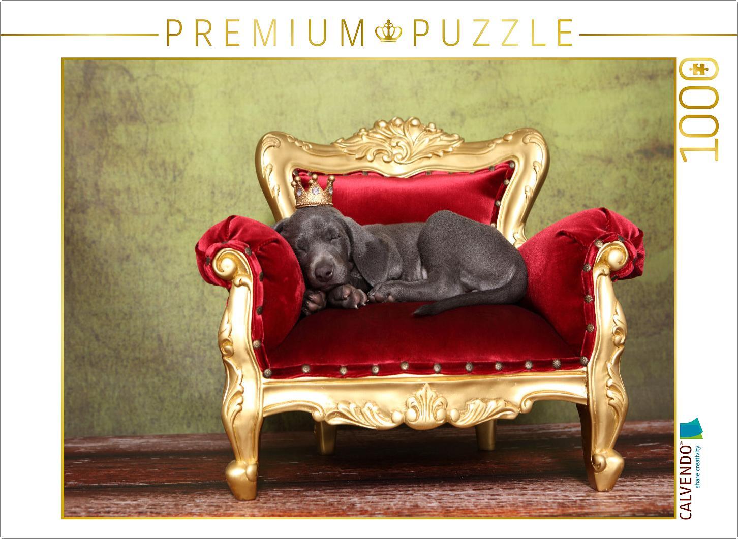 CALVENDO Puzzle Weimaraner Welpe / Weimaraner Puppy | 1000 Teile Lege-Größe 64x48cm Foto-Puzzle für glückliche Stunden