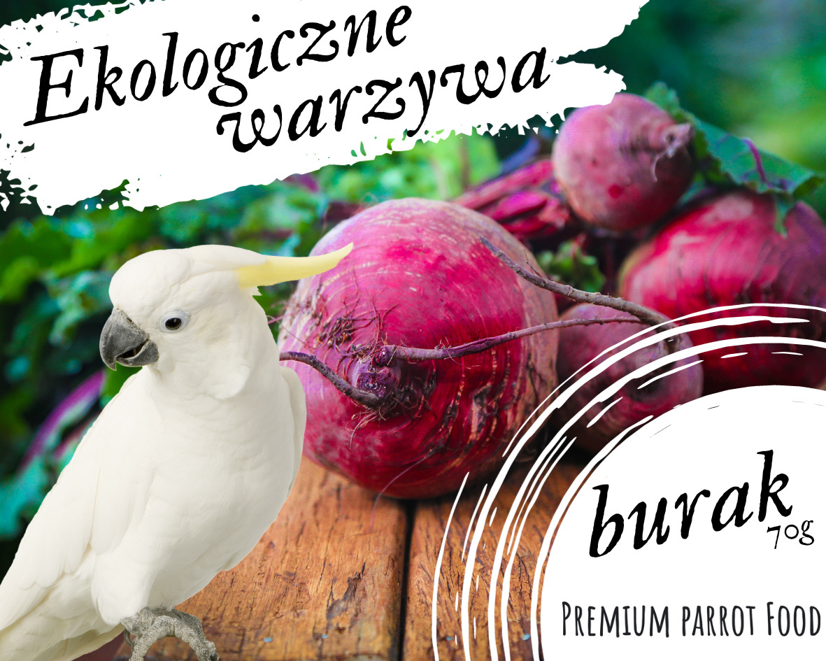 Premium Parrot Food Rote Beete Snacks für Papageien - Premium Papageienfutter 70g