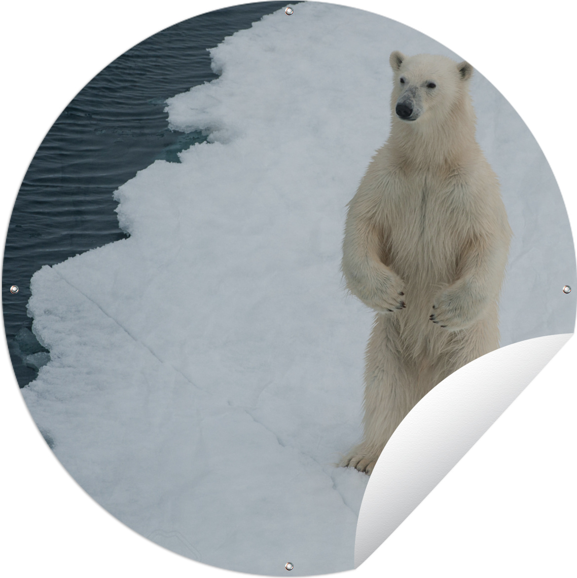 MuchoWow® 144|180011973