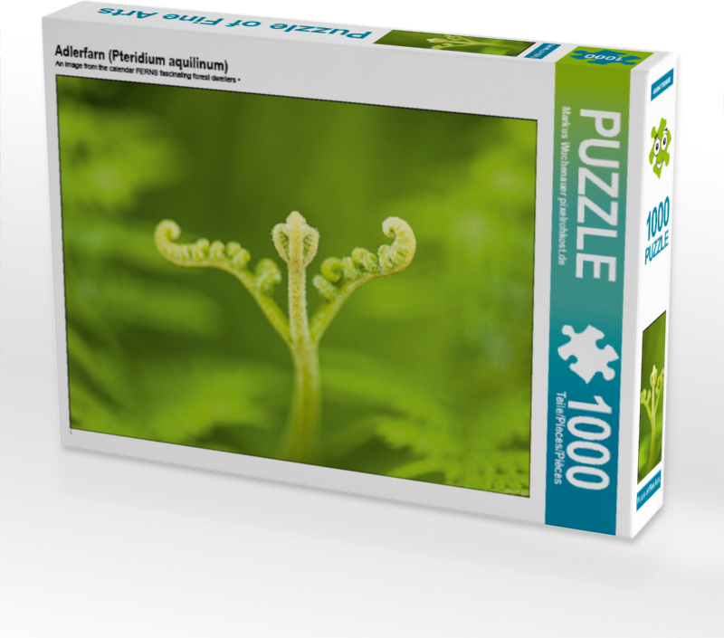 CALVENDO Puzzle Adlerfarn (Pteridium aquilinum) | 1000 Teile Lege-Größe 64x48cm Foto-Puzzle für glückliche Stunden