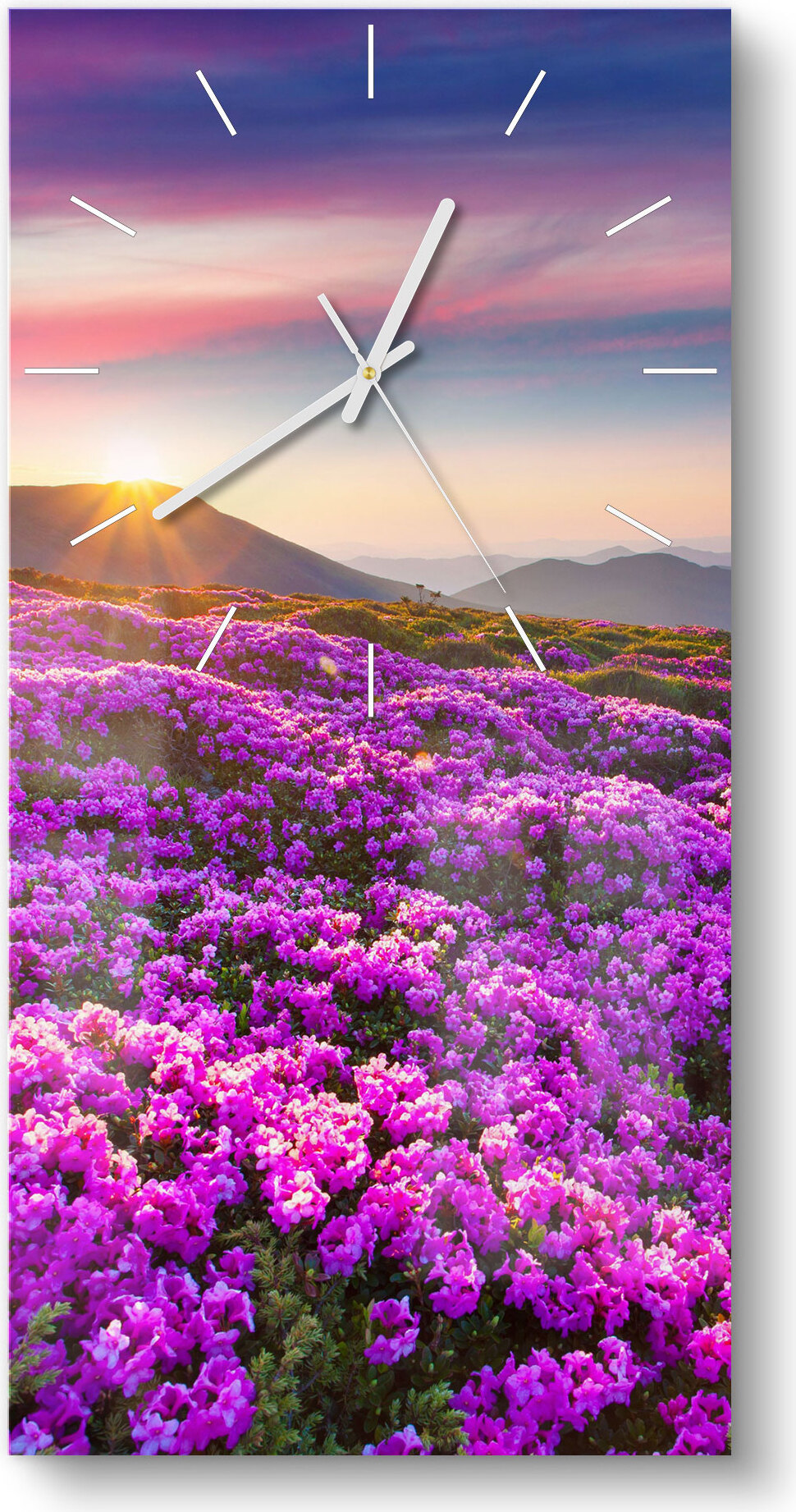 DEQORI Glasuhr 30x60 cm Modern 'Magische Bergwiese' Wanduhr Glas Uhr Design leise WC-30-60-M-2075