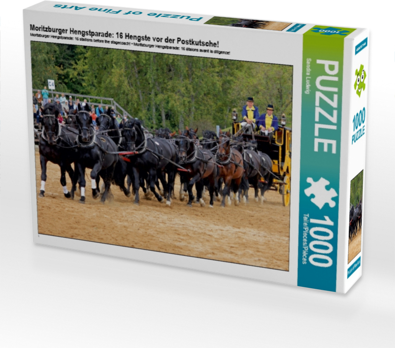 CALVENDO Puzzle Moritzburger Hengstparade: 16 Hengste vor der Postkutsche! 1000 Teile Puzzle quer | 1000 Teile Lege-Größe 64x48cm Foto-Puzzle für glückliche Stunden