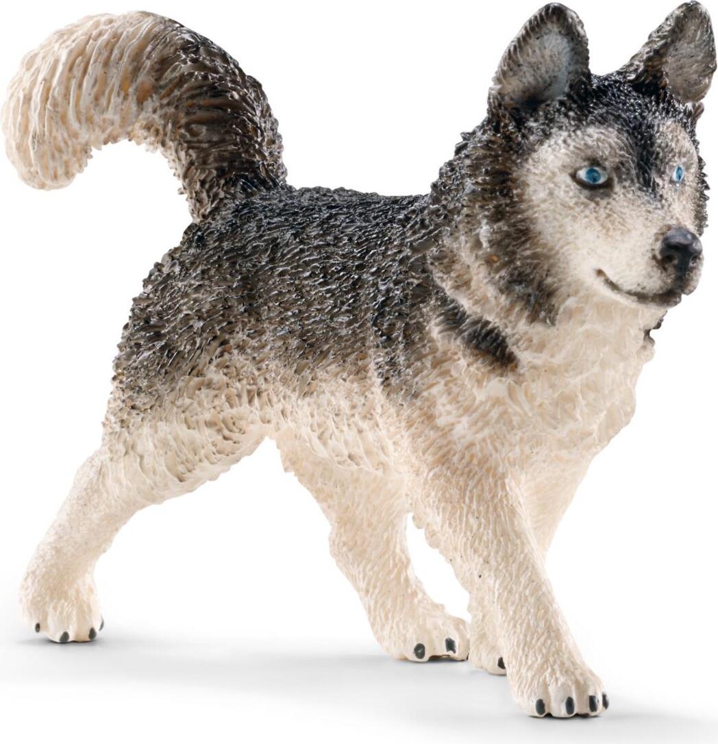 Schleich 16835 Farm Life, Grau, Weiß, Beide Geschlechter, 1 Stück