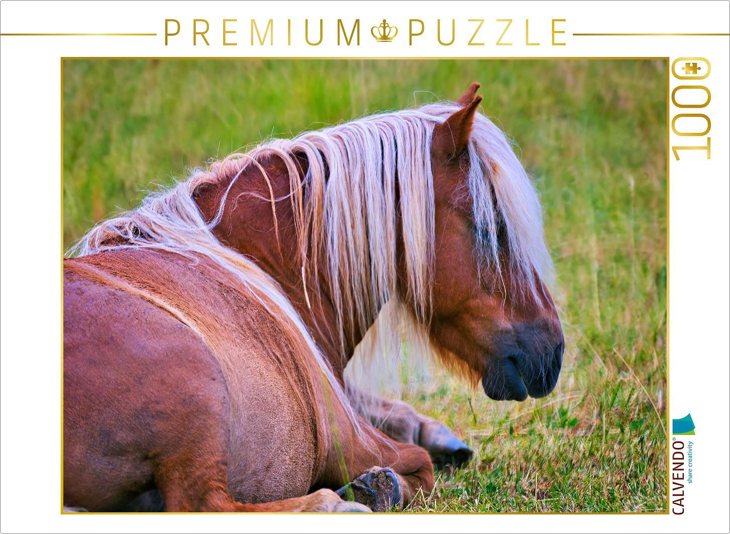 CALVENDO Puzzle Ausruhen muss auch sein | 1000 Teile Lege-Größe 64x48cm Foto-Puzzle für glückliche Stunden