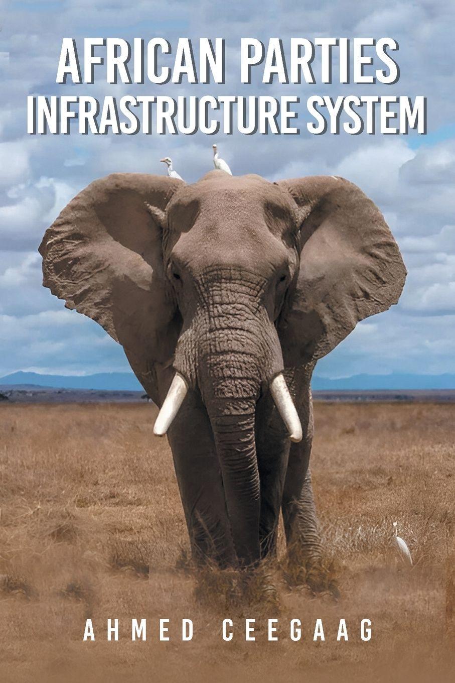 Sonstige Verlage African Parties Infrastructure System