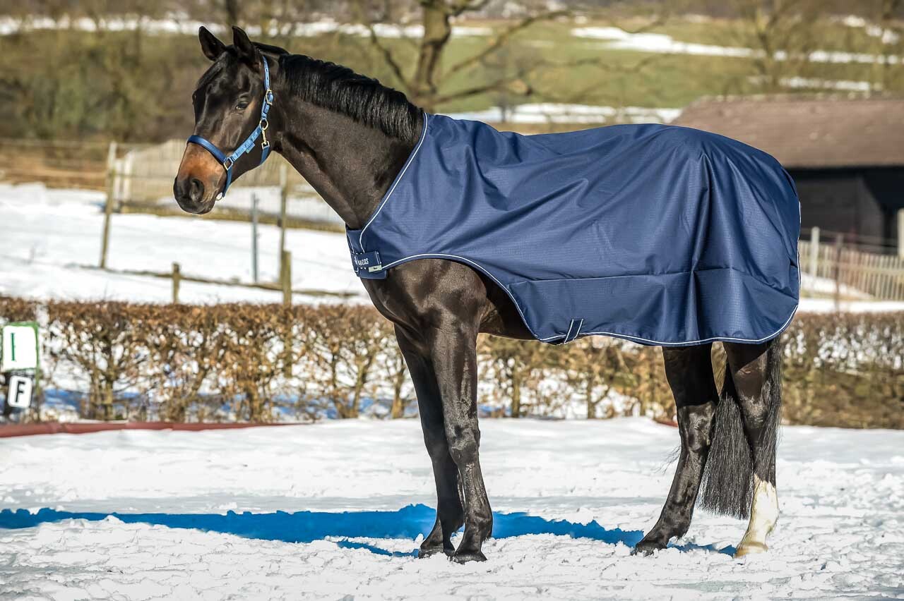 Bucas Walker Führanlagendecke XL-155/165 cm 48555-62