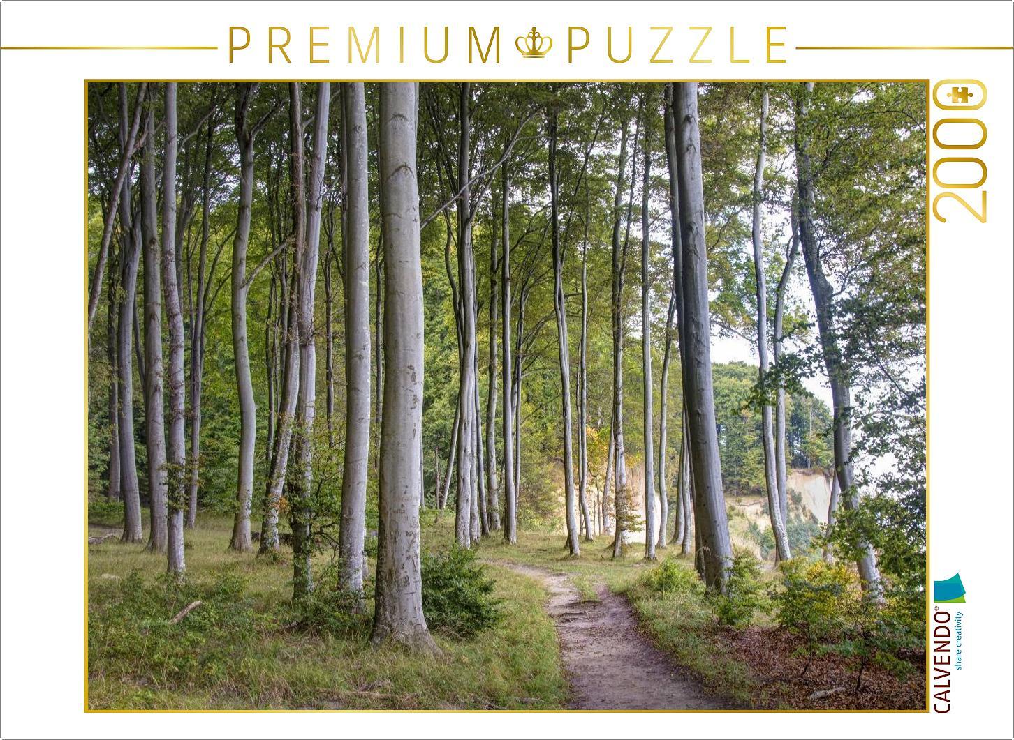 CALVENDO Puzzle Ein Motiv aus dem Kalender Der Hochuferweg im Jasmund Nationalpark | 2000 Teile Lege-Größe 90x67cm Foto-Puzzle für glückliche Stunden