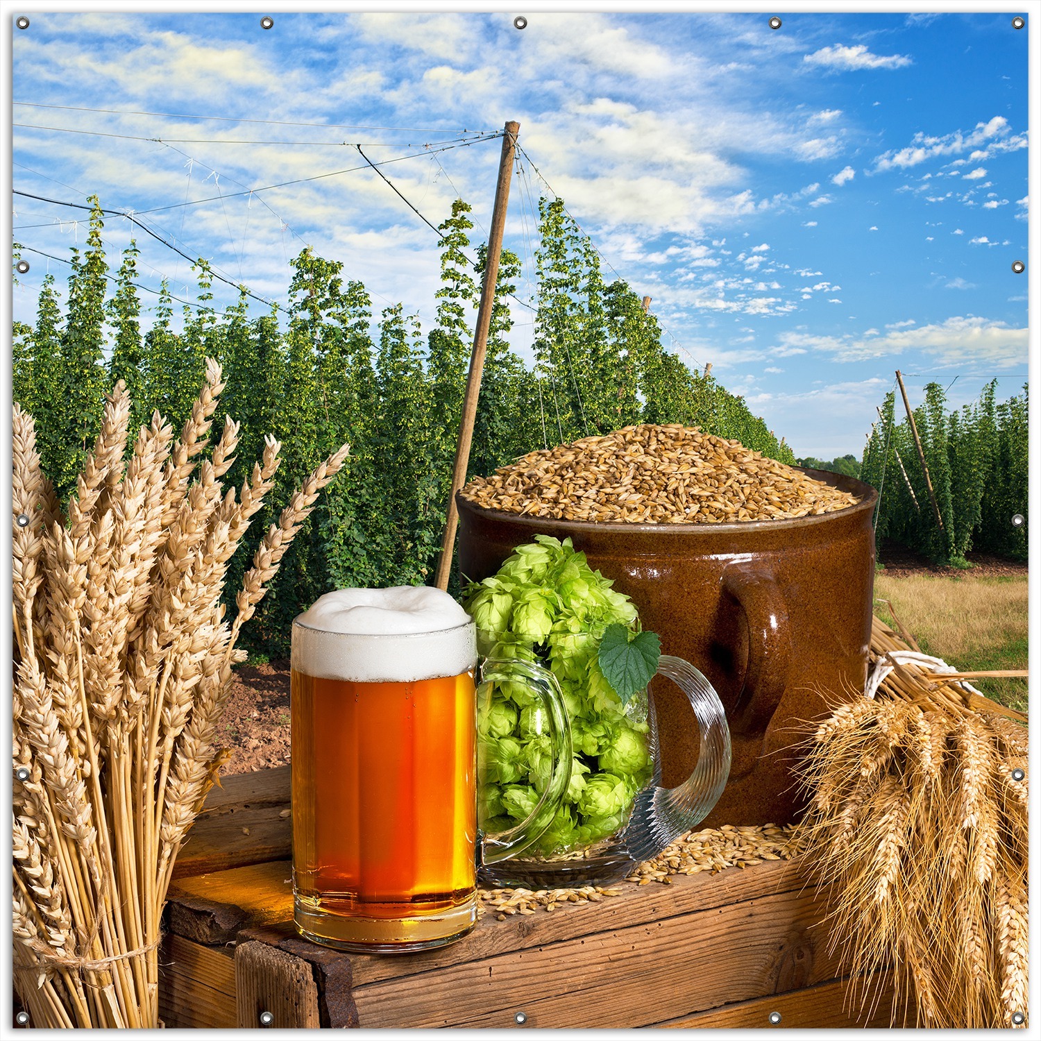 Wallario XXL Outdoor-Poster für Garten oder Balkon, Motiv Frisch gezapftes Bier, Hopfen und Malz, in ca. 200 x 200 cm goban5339-200200