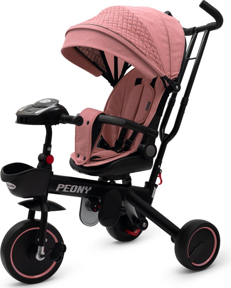 Baby Mix Pfingstrose EVA Dreirad rosa