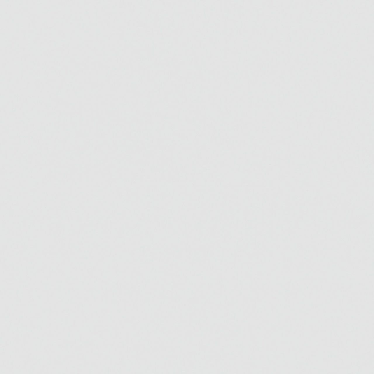 Gutta Polystyrolplatte glatt 50 x 100 cm 5 mm opal 3030206