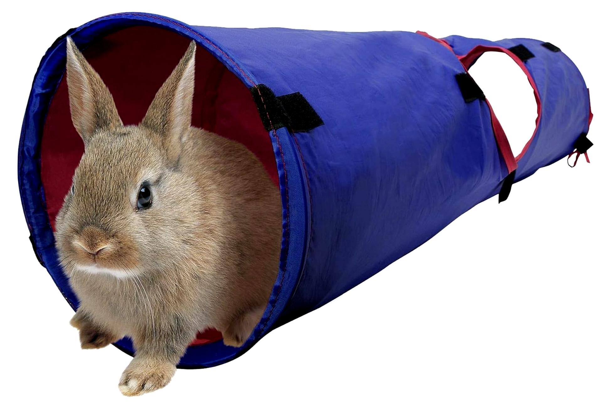 Markenlos Haustiertunnel für Kleintiere, blau/rot