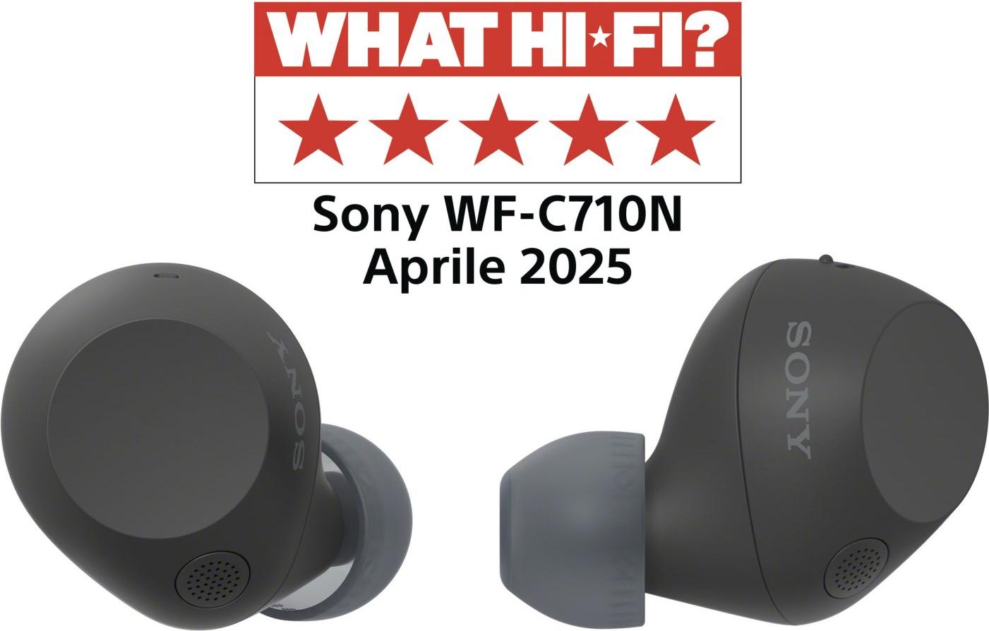 Sony WFC710NB True-Wireless In-Ear Kopfhrer mit Bluetooth WFC710NB.CE7