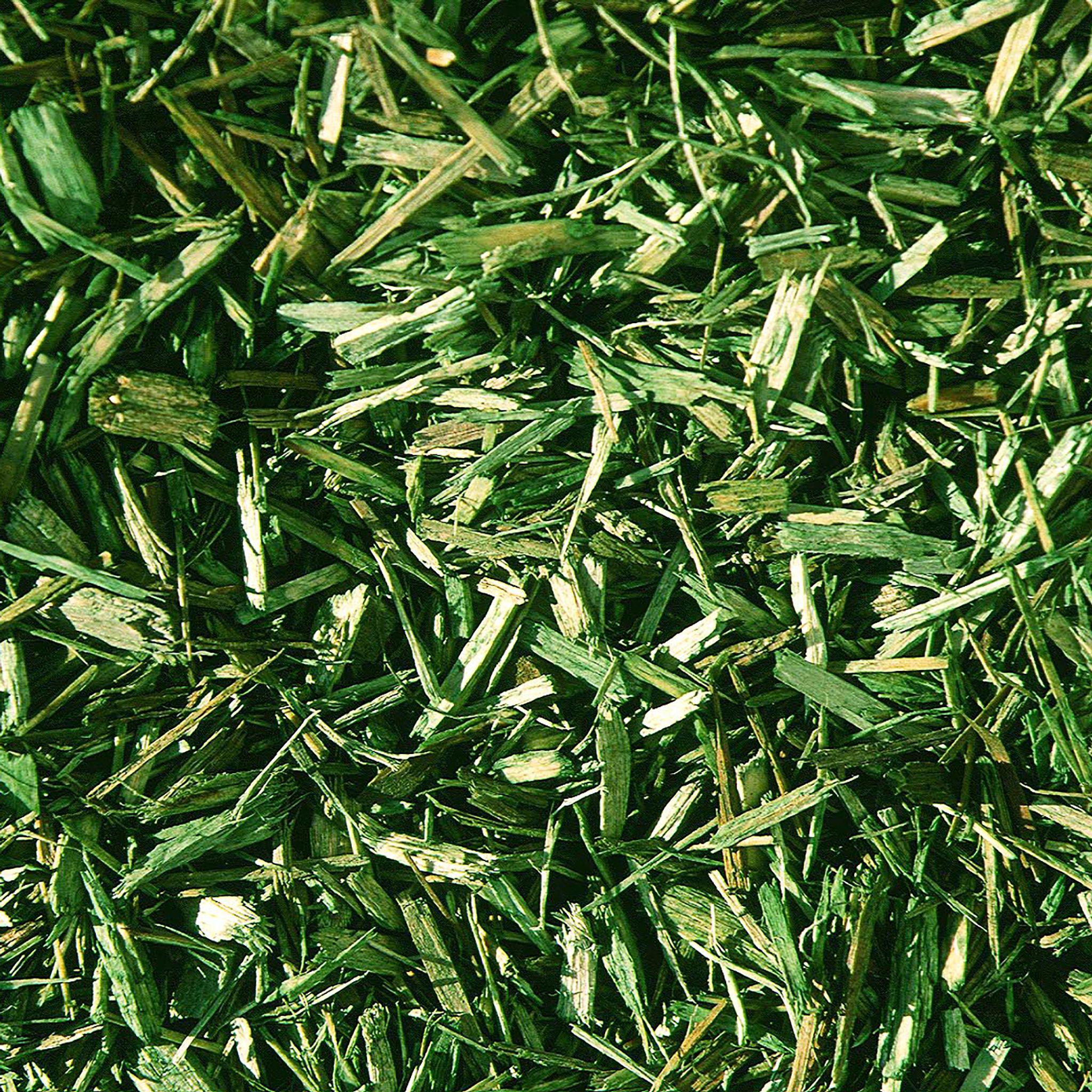 Öcocolor Fallschutz Holzschnitzel, Grün, 1000 Liter