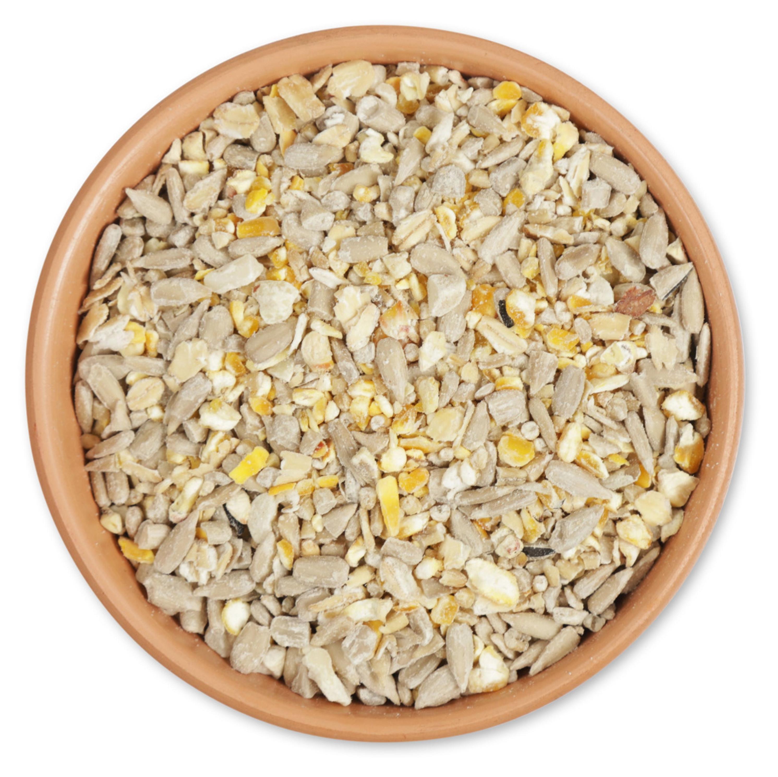 CJ Wildlife Streufutter für Wildvögel 10kg - geschälte Saat, keimfrei und unkrautfrei - ohne Weizen - Mind. 15% Protein - Ganzjährig 112530119