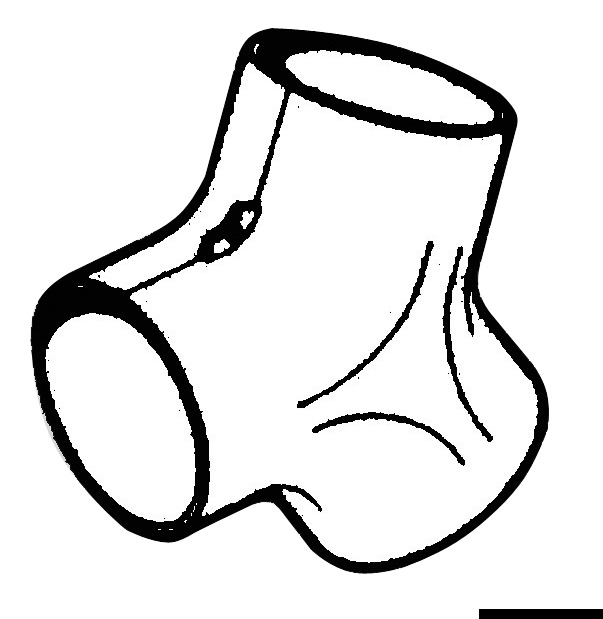 Y-Gelenk für Luftkanalisation Ø 75 mm - Osculati 50.263.06