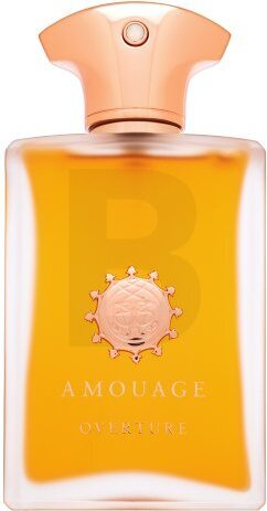 Amouage Overture parfumovaná voda pre mužov 100 ml