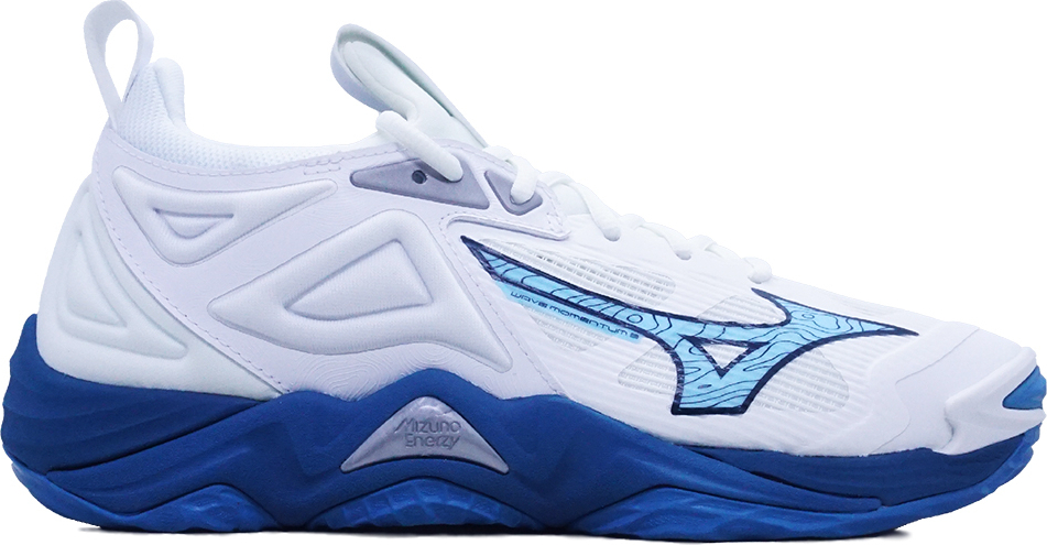Hallenschuhe Mizuno Wave Momentum V1GA231221