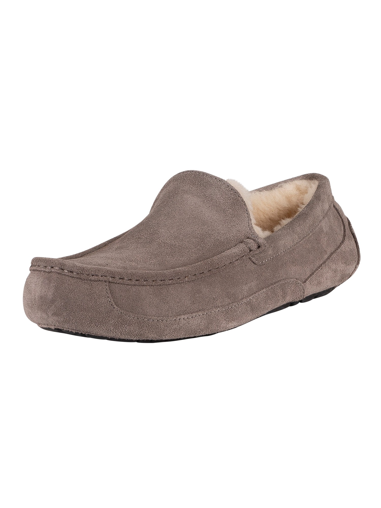 ascot uggpure