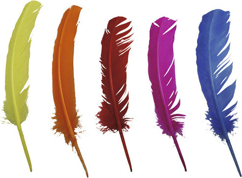 Glorex Indianerfedern bunt 28-30 cm 5 Stück