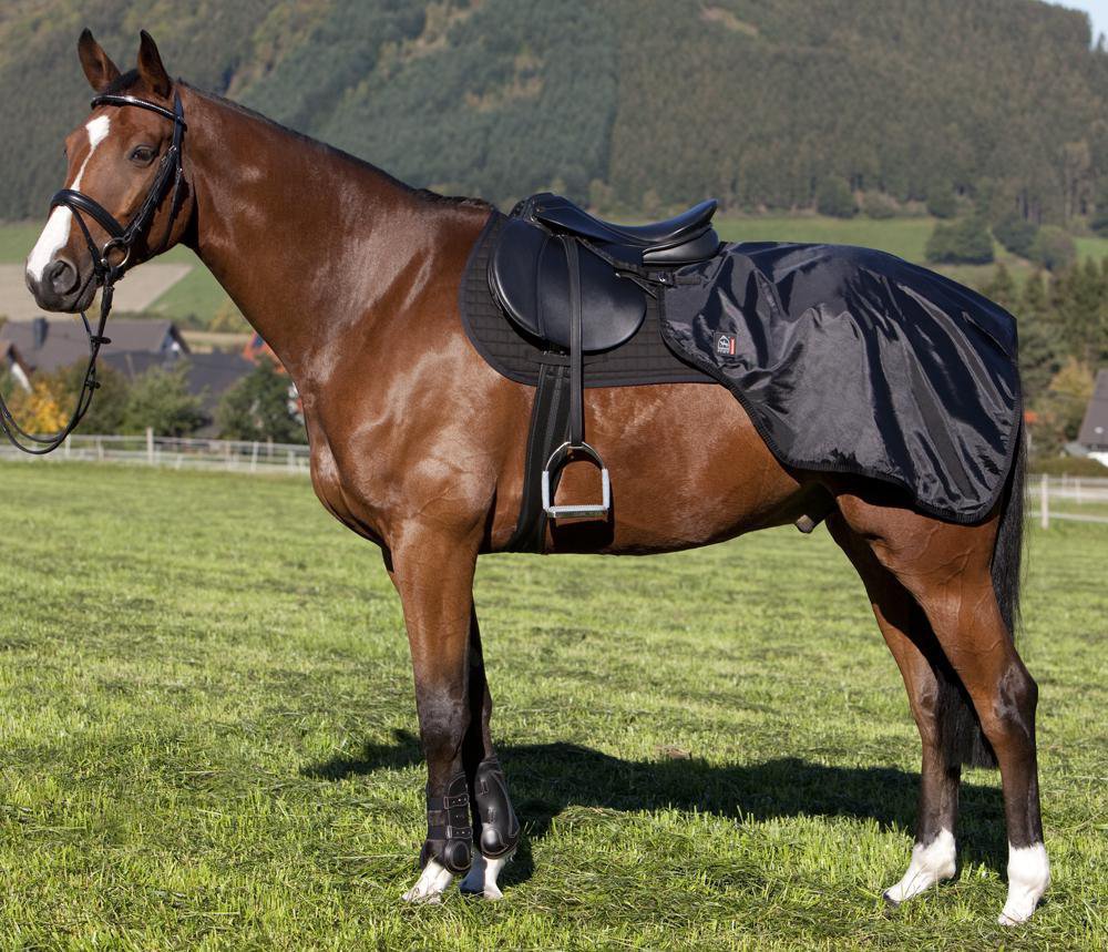 PFIFF Pfitzner Reitsport Nierendecke schwarz, Full/Warmblut PFIFF-100249