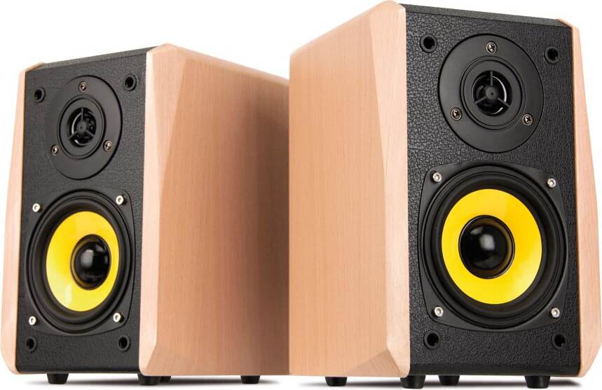 Dynavox TG-1000M Aktivboxen Paar Buche 204324