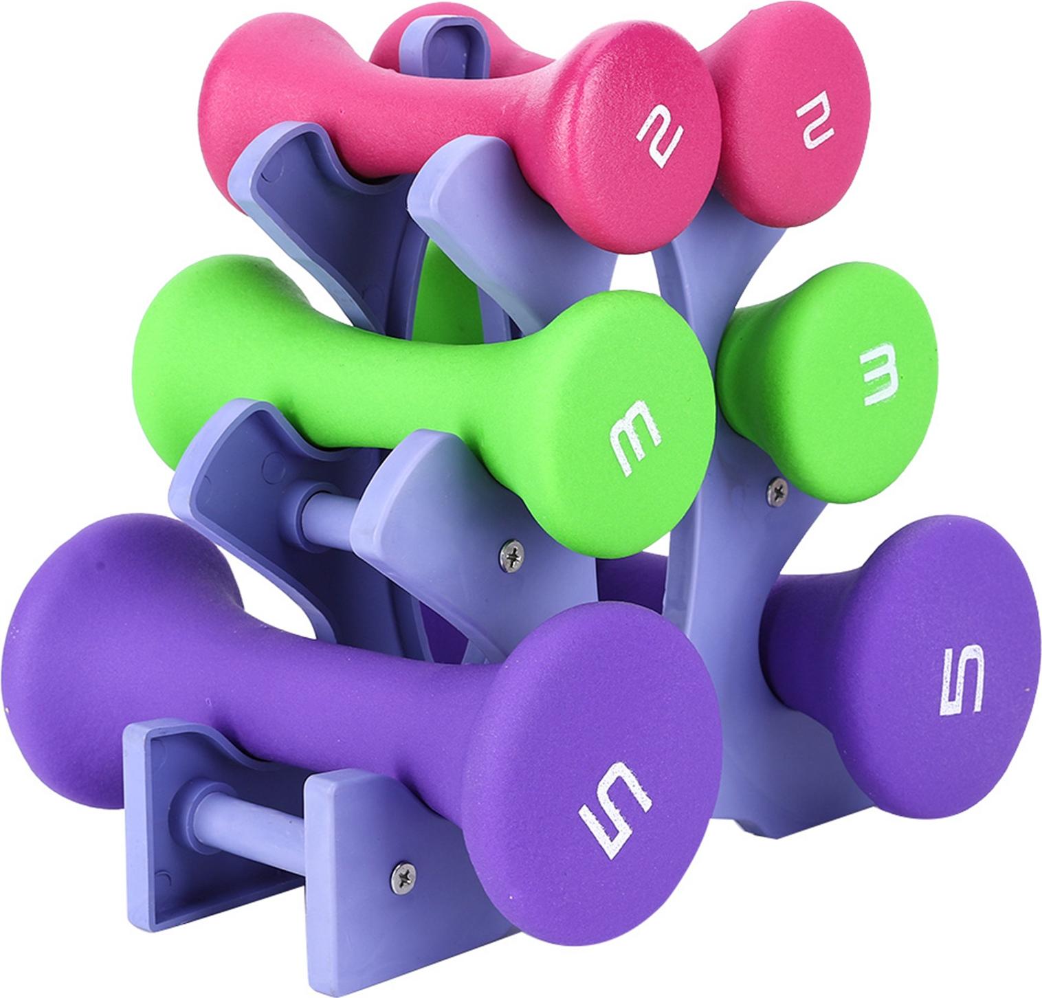 Gistuch 6 -pcs Hand -Fitnessgewichte Set Halter Rack 2lb 3lb 5lb Bodybuilding -Übungsausrüstung