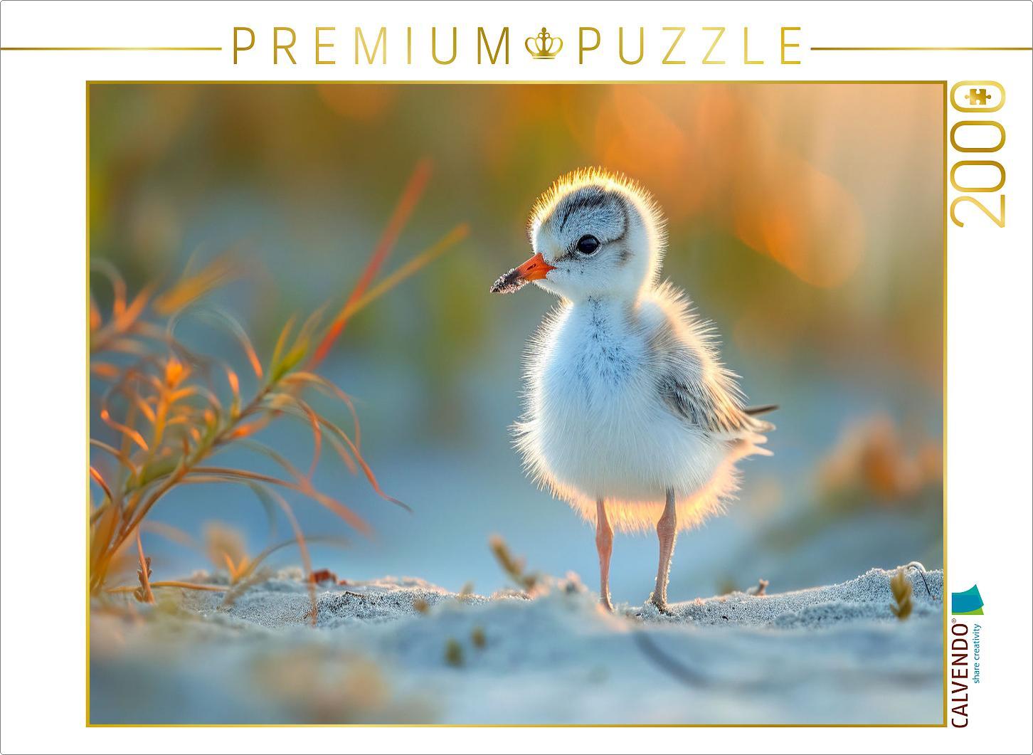 CALVENDO Puzzle Strandläufer, der Nachwuchs auf Entdeckungstour | 2000 Teile Lege-Größe 90x67cm Foto-Puzzle für glückliche Stunden