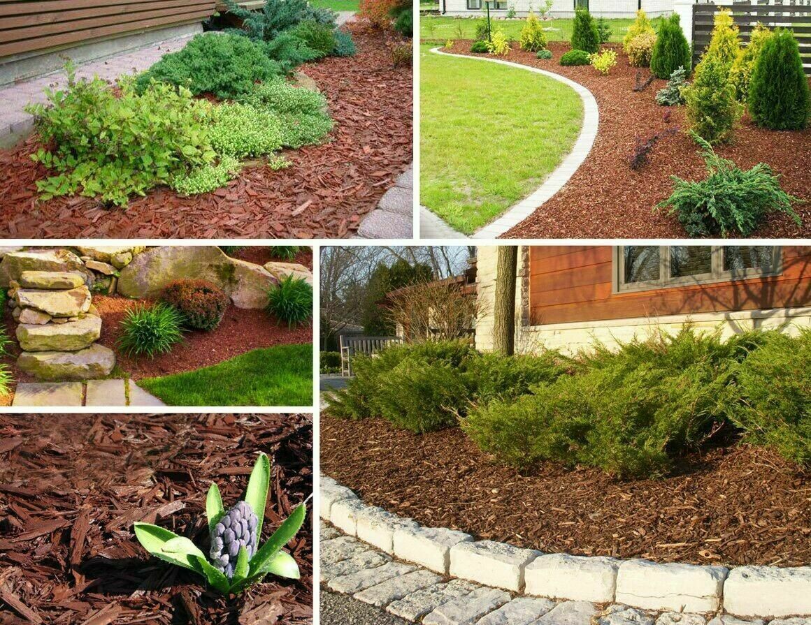 Pinienrinde Mulch 10-20mm - 3 Liter Für Garten Und Beete