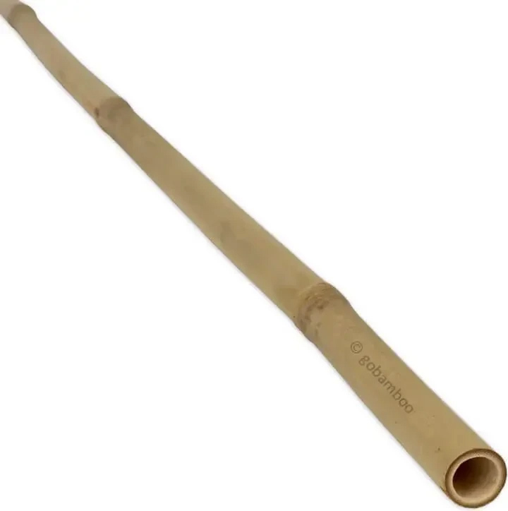 gobamboo s.r.o. Bambusstange Tonkin Ø 30-35 mm x 200 cm 10 Stück